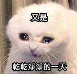 按我可進入網拍